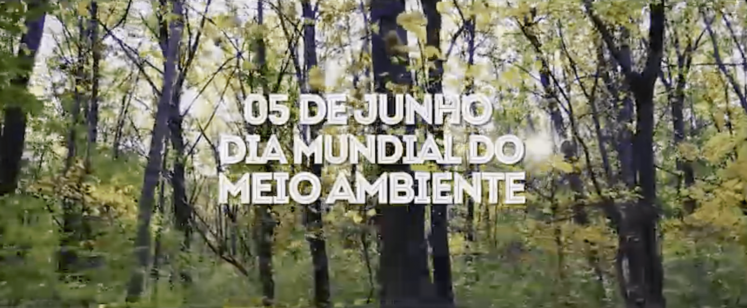 Dia do Meio Ambiente: Moto Honda lança iniciativa de valorização da floresta